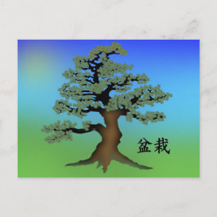 Bonsai 08 postkarte