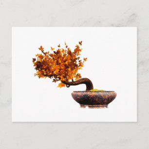 Bonsai 2 postkarte