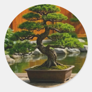 Bonsai-Baum des Drachen der Balance Runder Aufkleber