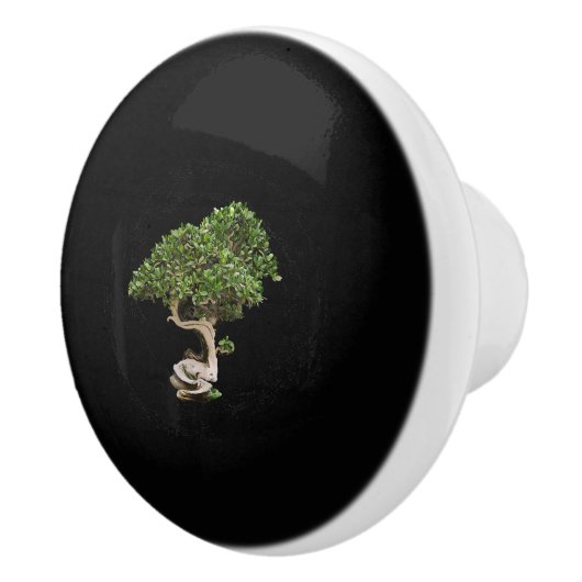 Bonsai Baum enso Kreis Kalligrafie zen Keramikknauf (Rechts)