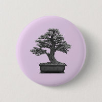 Bonsai