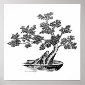 Bonsai - Chinesischer Stil - Schwarzweiß Poster (Vorne)