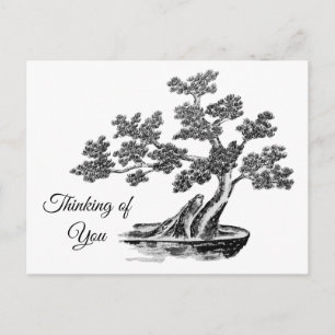 Bonsai - Chinesischer Stil - Schwarzweiß Postkarte
