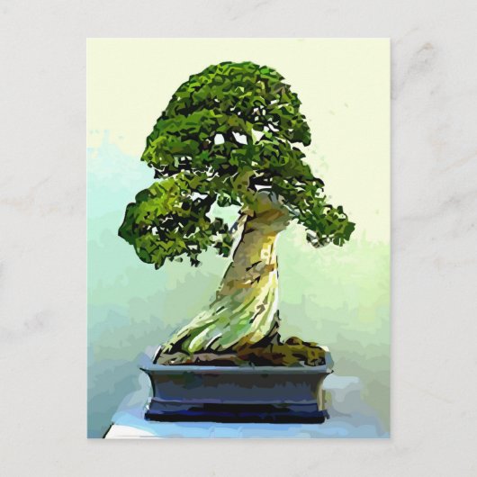 Bonsai Cypress Tree Postkarte (Vorderseite)