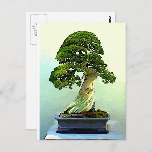 Bonsai Cypress Tree Postkarte (Vorne/Hinten)