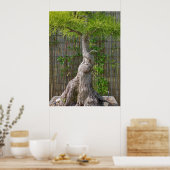 Bonsai Eejit Tree Poster (Küche)