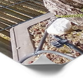 Bonsai Eejit Tree Poster (Ecke)