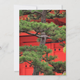 Bonsai-Kiefer Dankeskarte
