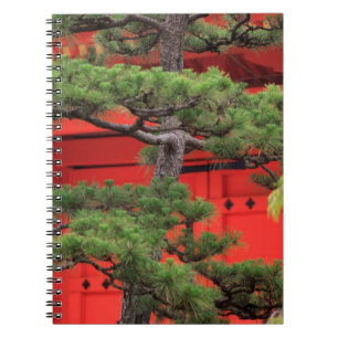 Bonsai-Kiefer Notizblock