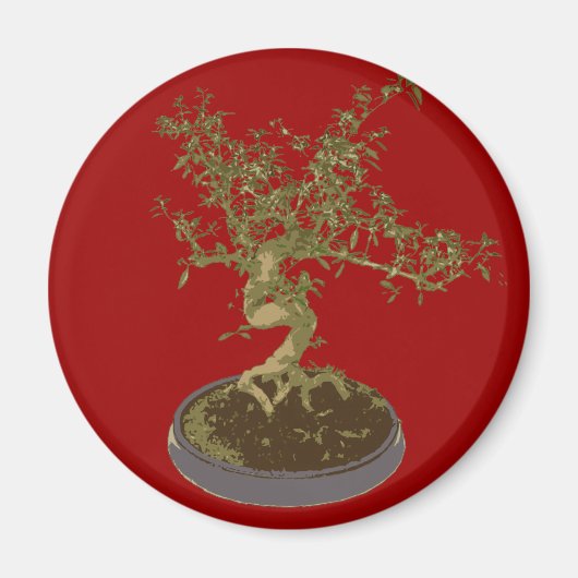 Bonsai Magnet (Vorne)