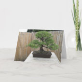 Bonsai Mugo Pine Danke-Karte Dankeskarte (Vorderseite)