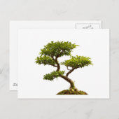 Bonsai Pflanze Postkarte (Vorne/Hinten)