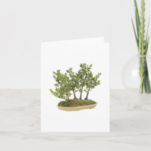 Bonsai Photo 3 Karte