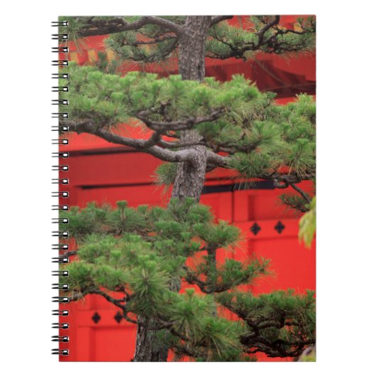 Bonsai Pine Tree Notizblock (Vorderseite)