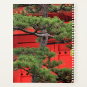 Bonsai Pine Tree Planer (Rückseite)