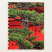 Bonsai Pine Tree Planer (Vorderseite)