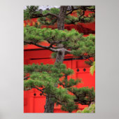 Bonsai Pine Tree Poster (Vorne)