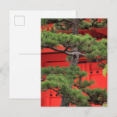Bonsai Pine Tree Postkarte (Vorne/Hinten)