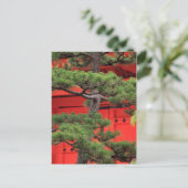 Bonsai Pine Tree Postkarte (Stehend Vorderseite)