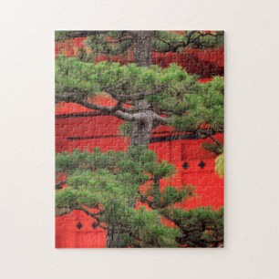 Bonsai Pine Tree Puzzle