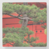 Bonsai Pine Tree Steinuntersetzer (Vorderseite)
