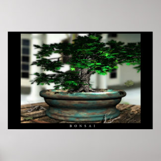 Bonsai Poster