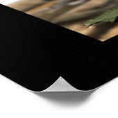 Bonsai Poster (Ecke)