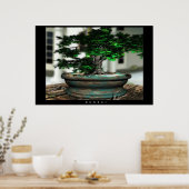 Bonsai Poster (Küche)