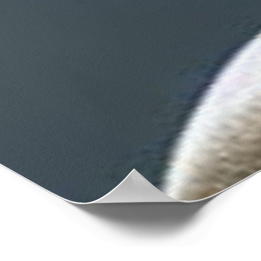 Bonsai Poster (Ecke)