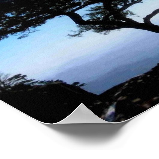 ‚Bonsai‘ Poster (Ecke)