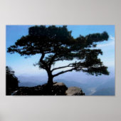 ‚Bonsai‘ Poster (Vorne)