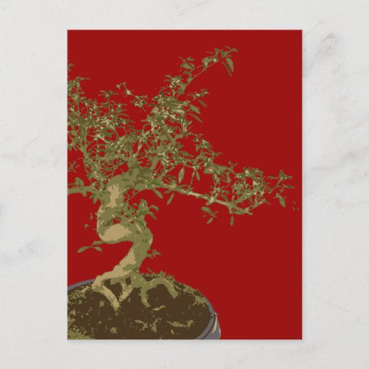 Bonsai Postkarte (Vorderseite)