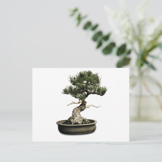 Bonsai Postkarte (Stehend Vorderseite)