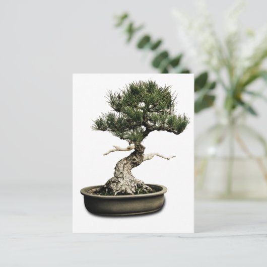 Bonsai Postkarte (Stehend Vorderseite)
