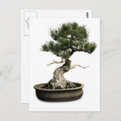 Bonsai Postkarte (Vorne/Hinten)