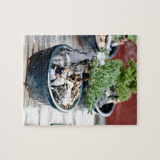 Bonsai Puzzle (Horizontal)