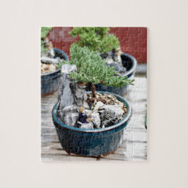 Bonsai Puzzle