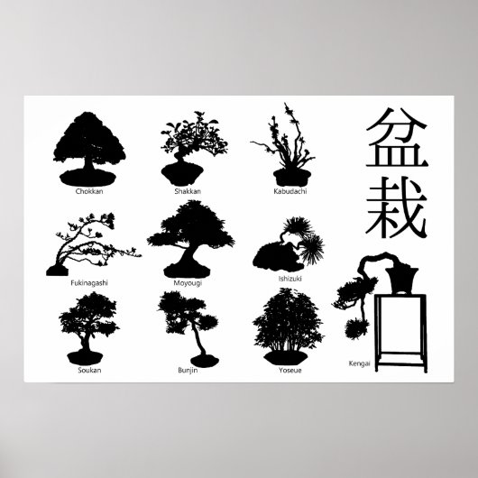 Bonsai Tree Basic Styles 10 Poster (Vorne)