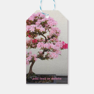 Bonsai Tree Geschenkanhänger