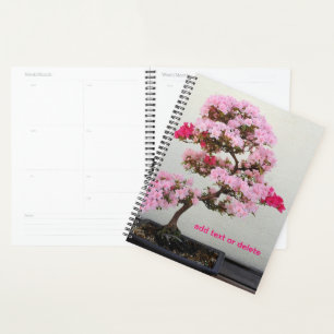 Bonsai Tree Planer