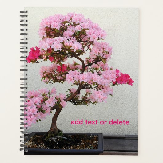 Bonsai Tree Planer (Vorderseite)