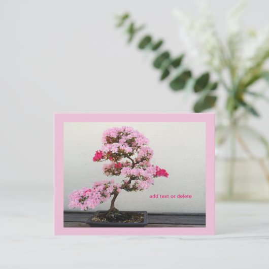 Bonsai Tree Postkarte (Stehend Vorderseite)