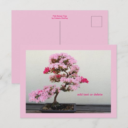 Bonsai Tree Postkarte (Vorne/Hinten)