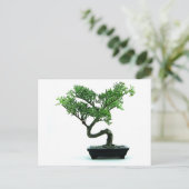 Bonsai Tree Postkarte (Stehend Vorderseite)