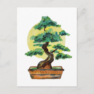 Bonsai Tree Sunshine Postkarte