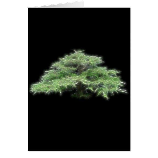 Bonsais-Baum-Grün-Pflanze (Vorne)