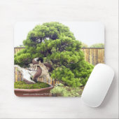 Bonsais/chinesische eingemachte Landschaft Mousepad (Mit Mouse)