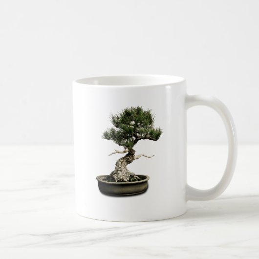 Bonsais Kaffeetasse (Rechts)