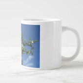 Bonsais portulacaria afra Baum 1 Jumbo-Tasse (Rechts)