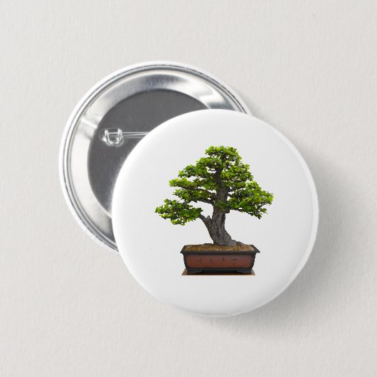 Bonsaisbaum Button (Vorne & Hinten)